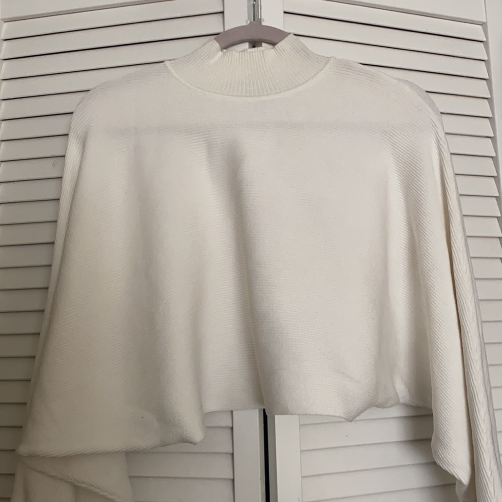 Crop top turtleneck sweater